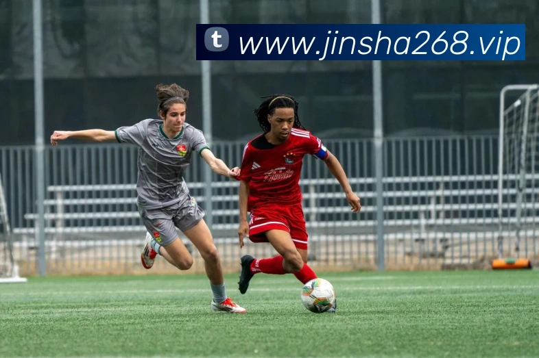 金沙娱乐平台生态图